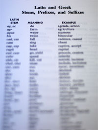 ギリシャ語とラテン語